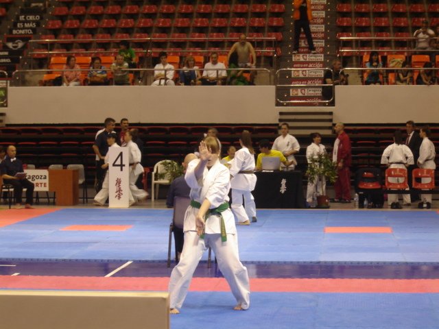 Mistrzostwa-Europy-Karate-Saragossa-05-2012_012