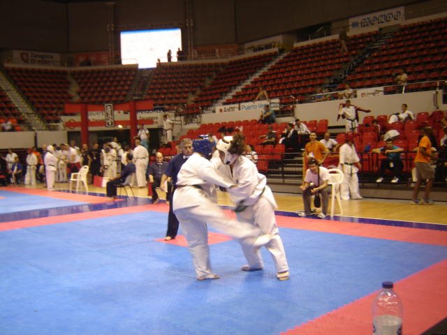 Mistrzostwa-Europy-Karate-Saragossa-05-2012_014