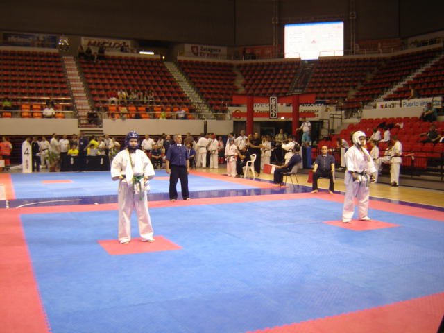 Mistrzostwa-Europy-Karate-Saragossa-05-2012_015