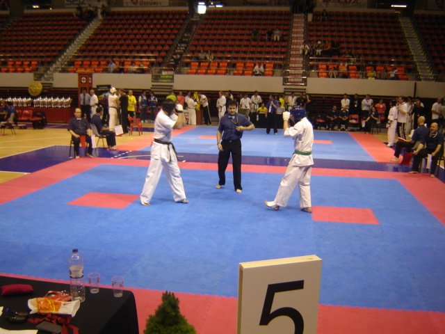 Mistrzostwa-Europy-Karate-Saragossa-05-2012_021