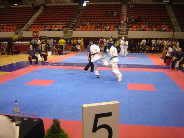Mistrzostwa-Europy-Karate-Saragossa-05-2012_024