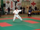 miniatura Kata