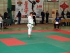 miniatura Kata